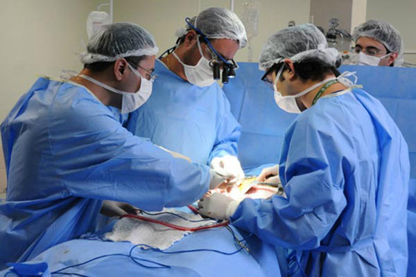 Doação de Órgãos Foto Divulgação