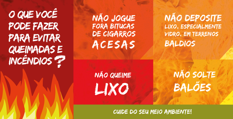 Divulgação/Prevfogo/Ibama