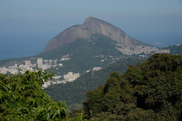 © Fernando Frazão/Agência Brasil