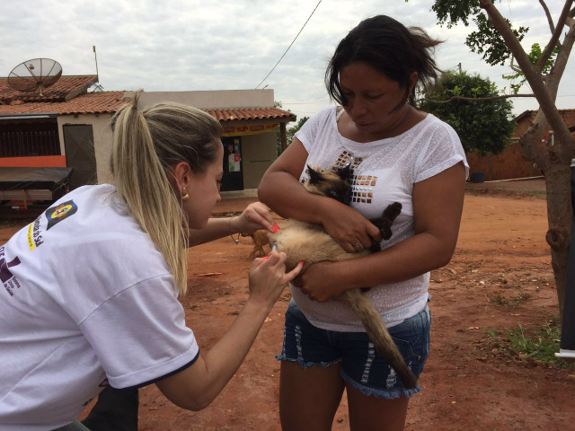 o 'Dia D' da Campanha Nacional de Vacinação antirrábica