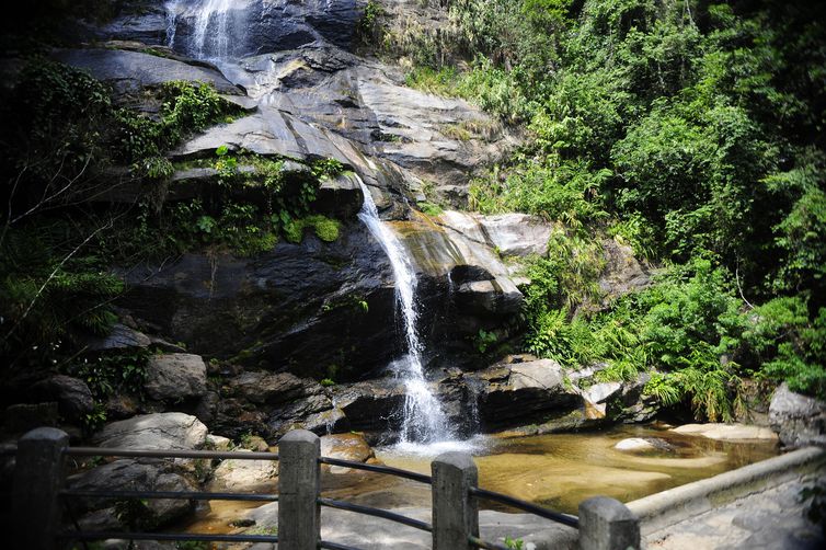Parque Nacional da Tijuca estabelece novas regras para visitação © Tomaz Silva/Agência Brasil