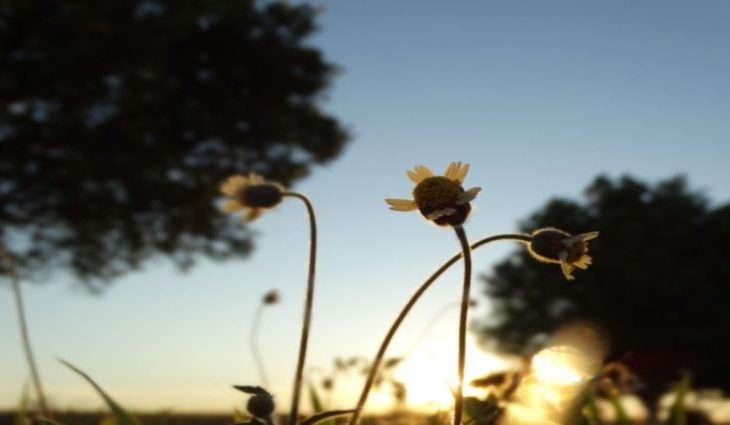 Domingo com períodos de sol e ar abafado em Mato Grosso do Sul