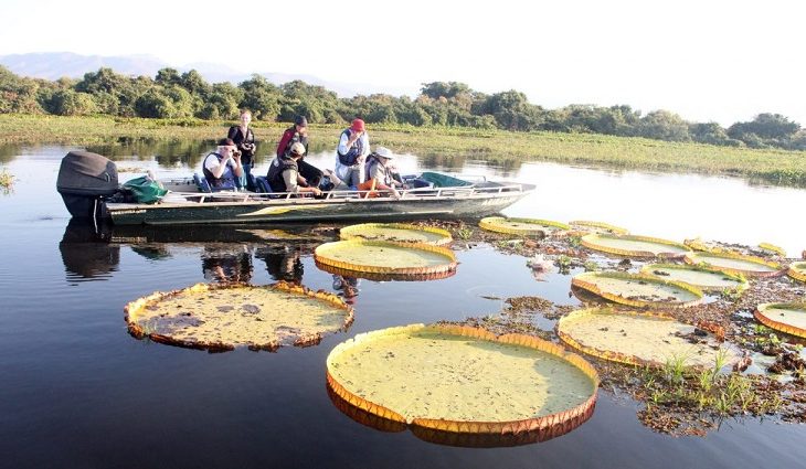 ObservaturMS realiza pesquisa com setor turístico estadual sobre impactos da pandemia