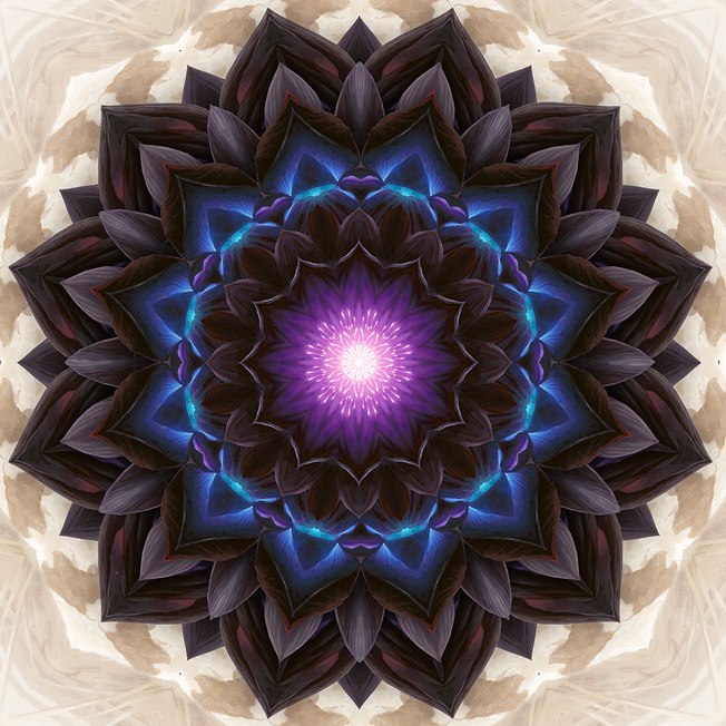 Horóscopo do dia: previsões para 25 de janeiro de 2021 Horóscopo do dia: previsões para 25 de janeiro de 2021