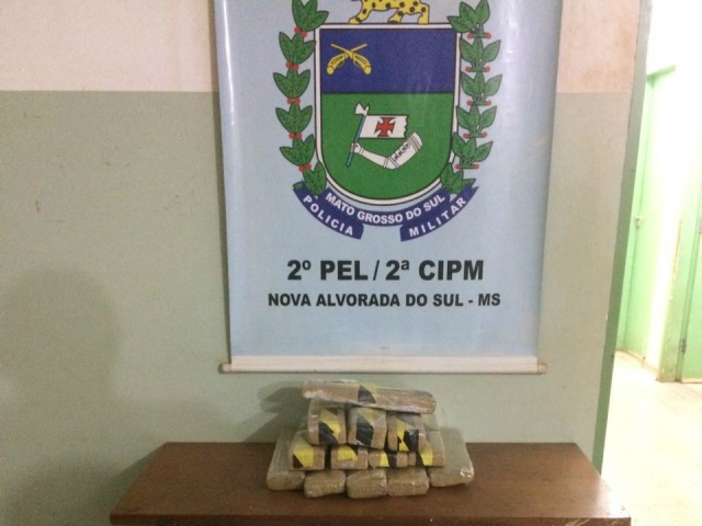 13 tabletes que totalizaram 12,5 kg de maconha. Foto: Jornal Correio do MS