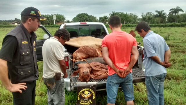 DOF desarticula um grupo por furto de gados e receptação DOF predeu em flagrante três homens por furto e receptação de gado. Foto DOF