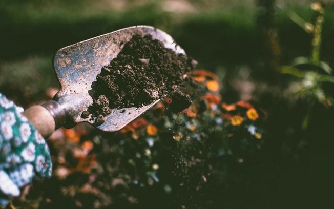 Simpatias com terra? Sim! Veja como são fáceis de fazer