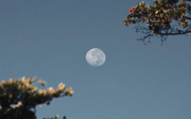 Entenda mais sobre seu signo Lunar e como ele influencia nas suas emoções Entenda mais sobre seu signo Lunar e como ele influencia nas suas emoções