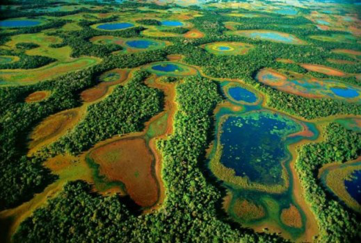 Ministérios Públicos se unem em defesa do Pantanal