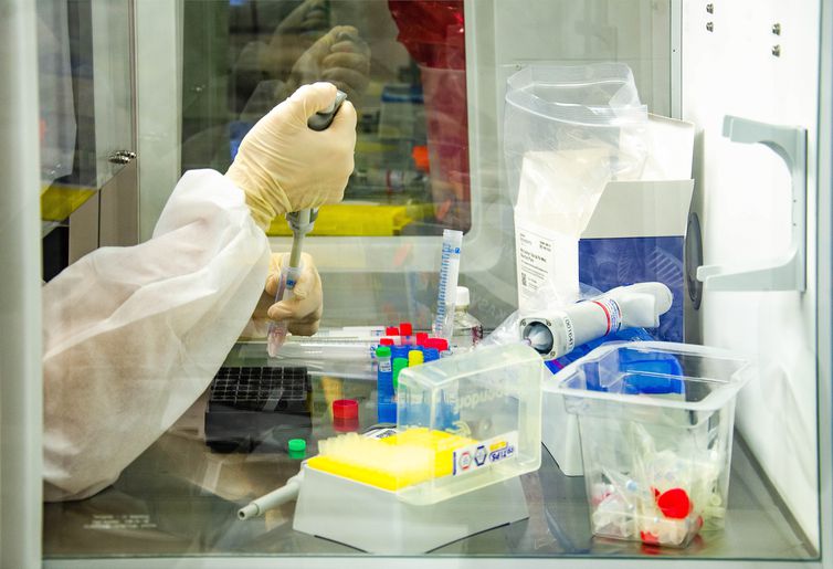 Covid-19: mortes somam mais de 225 mil e casos, 9,2 milhões © Itamar Crispim/Fiocruz