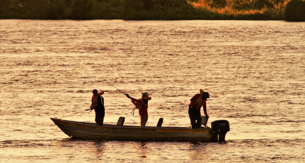 Governo de MS disponibiliza carteira digital para pesca amadora e desportiva