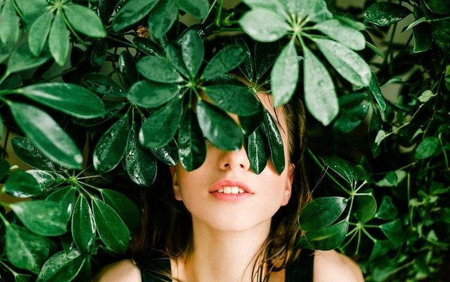 Oráculo das folhas: veja o que a natureza revela para você