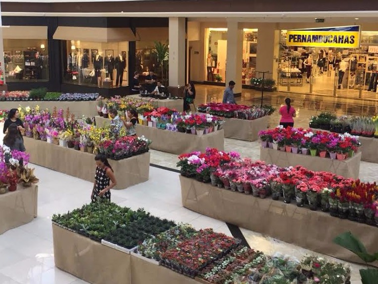 Exposição de Flores acontece no Shopping Campo Grande Exposição de Flores acontece no Shopping Campo Grande