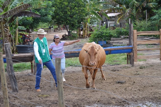 Preocupado com a qualidade do rebanho bovino, vereador Israel pede incentivo do executivo foto: Famasul