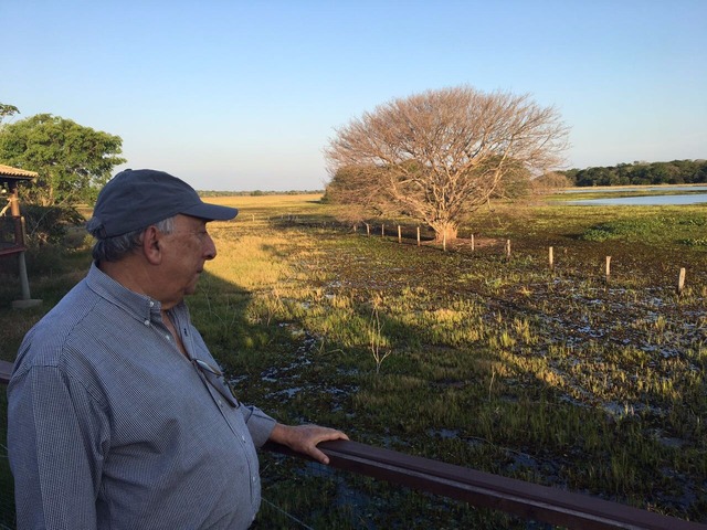 Pedro Chaves é o relator de projeto que define regras para gestão e proteção do Pantanal Pedro Chaves no Pantanal.Desafio é criar normas que garantam a gestão e a proteção de um dos maiores patrimônios de MS