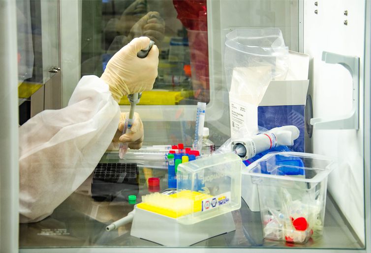 Covid-19: mortes somam mais de 228 mil e casos, 9,3 milhões © Itamar Crispim/Fiocruz