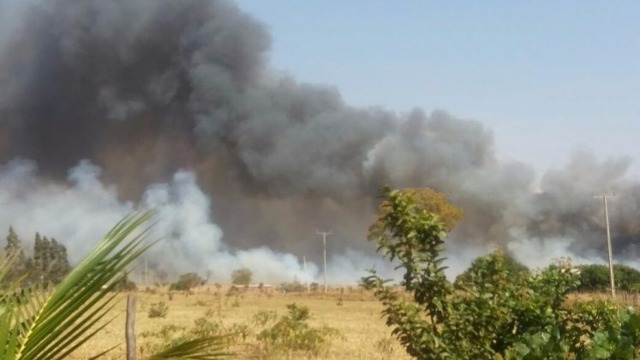 Prefeitura de Nova Alvorada do Sul distribui 10 toneladas de resíduos de milho para assentamento Prefeitura de Nova Alvorada do Sul distribui 10 toneladas de resíduos de milho para assentamento