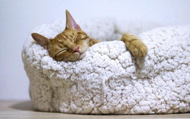 5 simpatias para te ajudar a dormir melhor 5 simpatias para te ajudar a dormir melhor