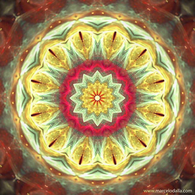 Horóscopo do dia: previsões para 10 de fevereiro de 2021