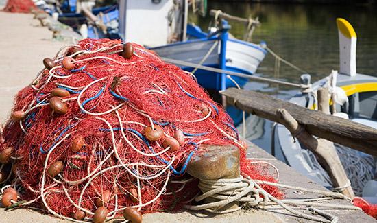 Mantida condenação de dono de restaurante em SC por construção ilegal e danos em área de preservação