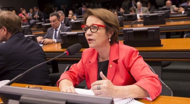 PSB destitui Tereza Cristina da liderança da bancada do partido na Câmara