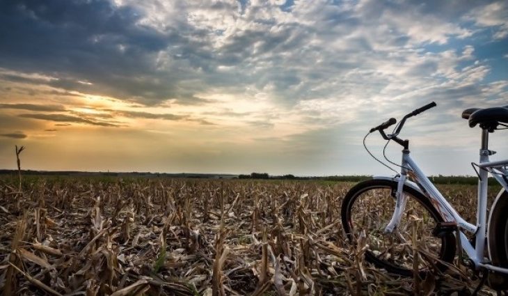 Quinta-feira com aumento de nuvens e pancadas de chuva em Mato Grosso do Sul