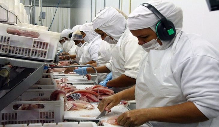 Maior exportador de tilápia do país, MS supera pandemia e vendas externas crescem 10,49% em 2020