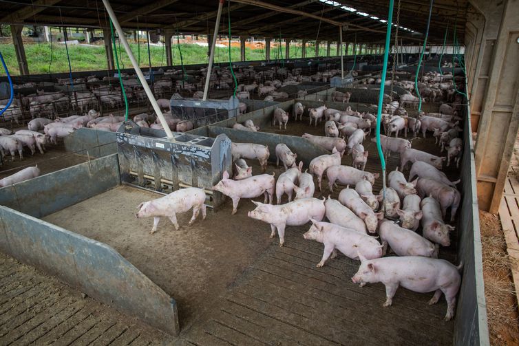 © CNA/Wenderson Araujo/Trilux