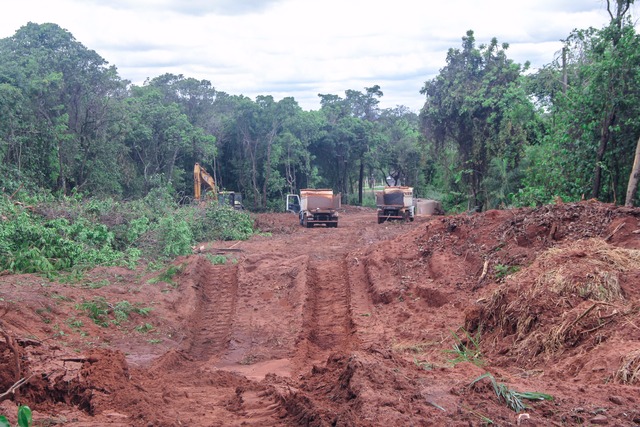 Deputado Amarildo Cruz flagra derrubada de mata nativa no Parque dos Poderes