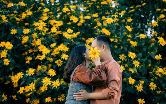 Conheça a Lei Tríplice