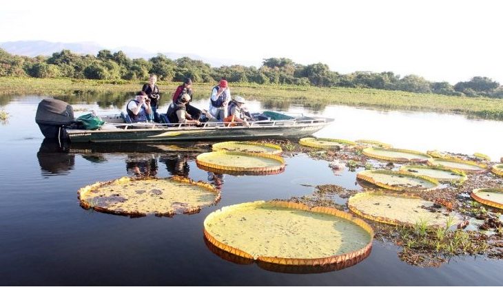 Ecoturismo é opção segura para o feriado de Carnaval