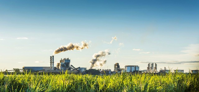 Odebrecht Agroindustrial unidade Santa Luzia abre diversas vagas de emprego