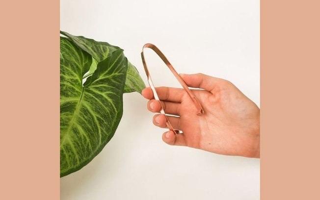 Raspadores de língua: necessário ou superficial?