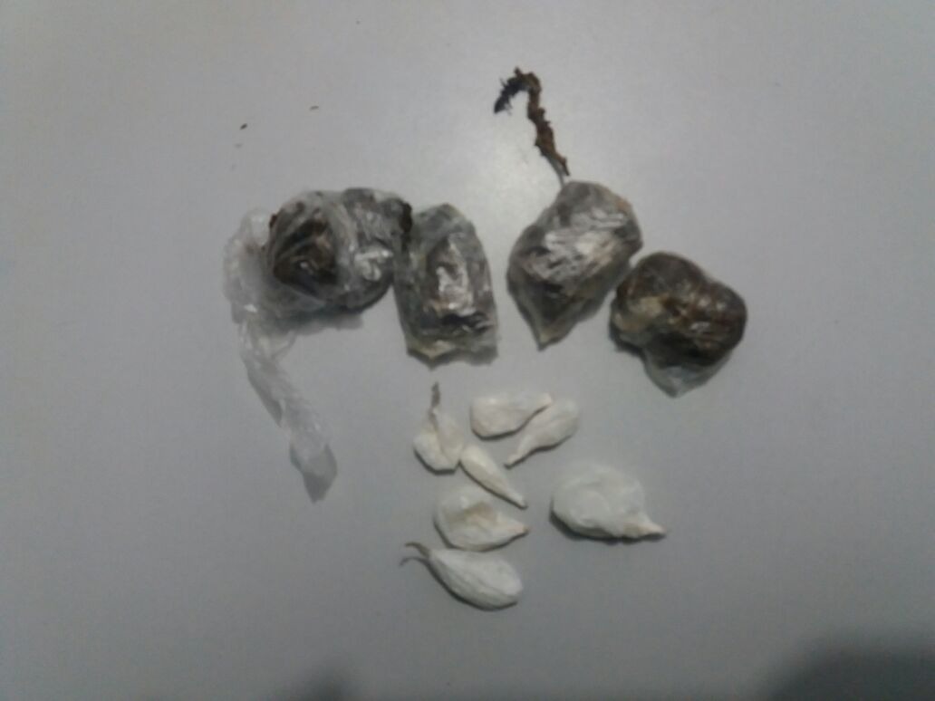 Jovem é preso com cocaína no Parque Nelson Tereré em Nova Alvorada do Sul