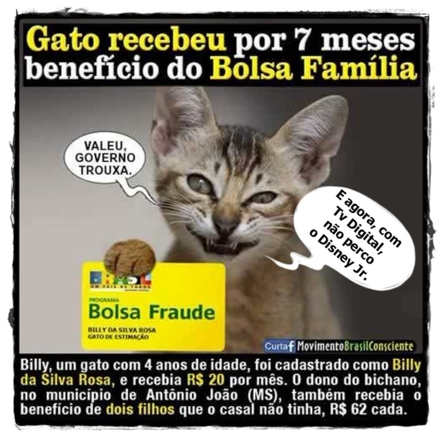 Quase 350 mil cadastros do Bolsa Família foram fraudados, diz auditoria