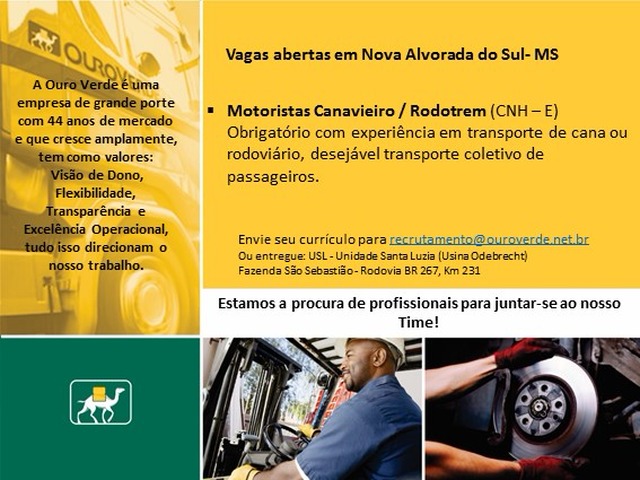 Empresa Ouro Verde abre vagas de emprego para Nova Alvorada do Sul