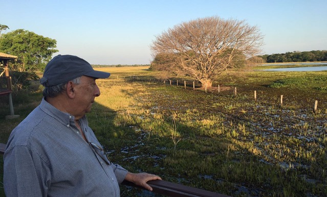 Pedro Chaves fala da importância do Fundo Pantanal para combater os problemas da supercheia na região pantaneira
