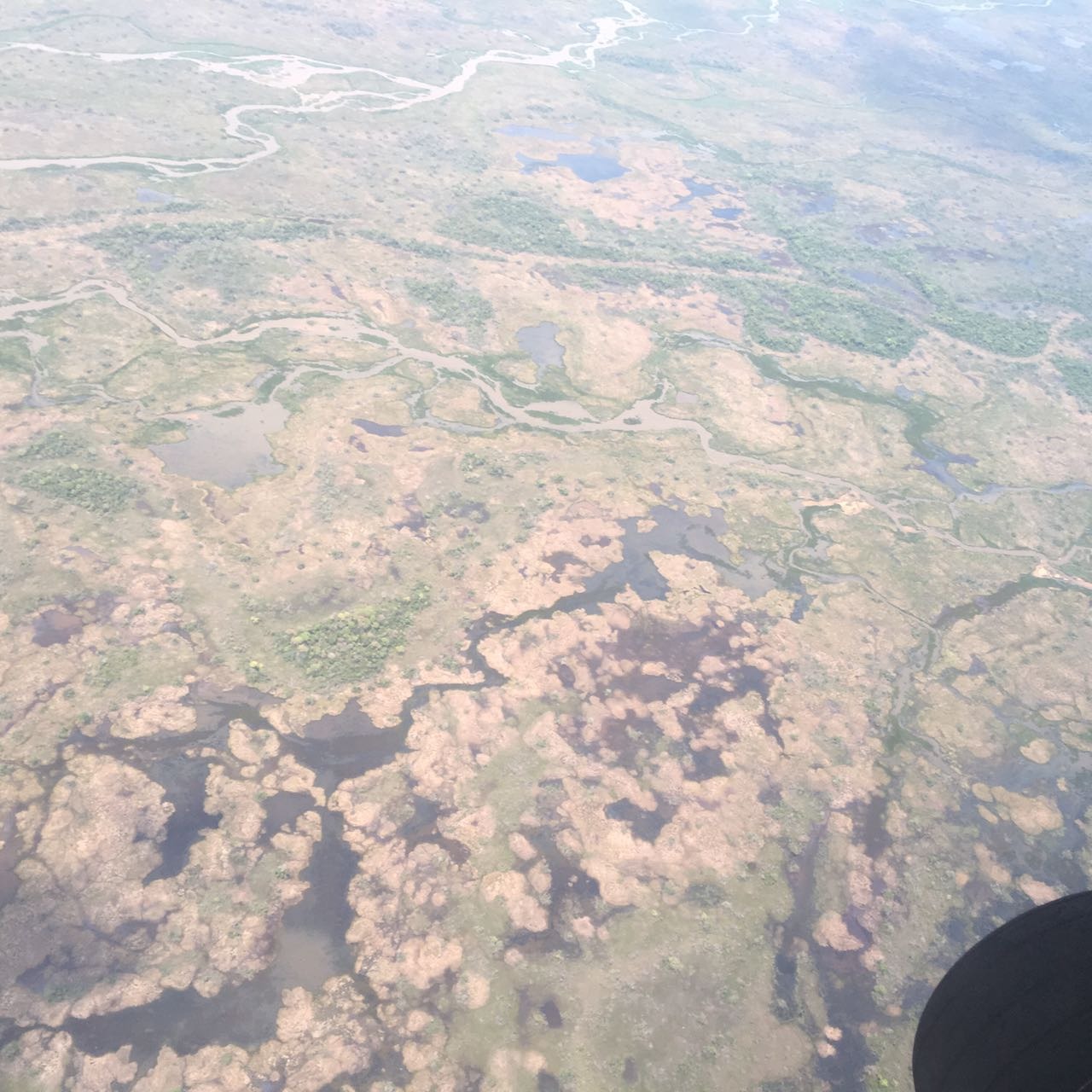 Pedro Chaves fala da importância do Fundo Pantanal para combater os problemas da supercheia na região pantaneira