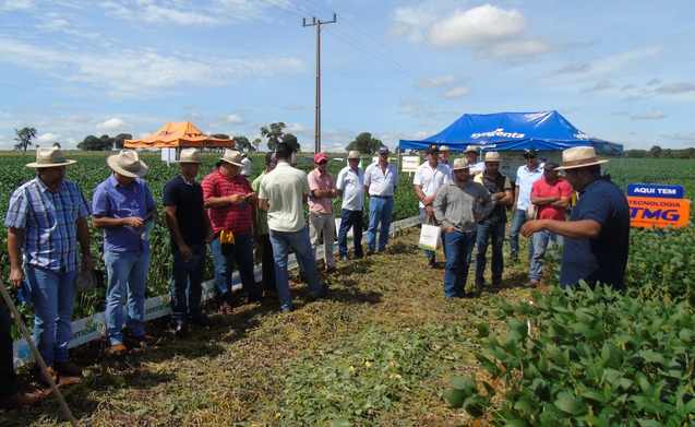 Técnico da TMG, parceira da Cooperalfa, apresentado aos associados os cultivares com tecnologia e melhoramento genético  da TMG. Foto Leandro Medina