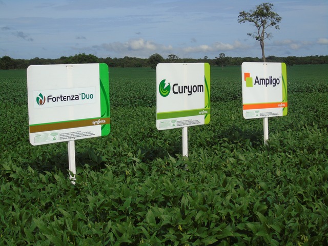 Cooperalfa realiza o primeiro “Dia de Campo Alfa” em Nova Alvorada do Sul