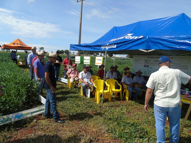 Cooperalfa realiza o primeiro “Dia de Campo Alfa” em Nova Alvorada do Sul