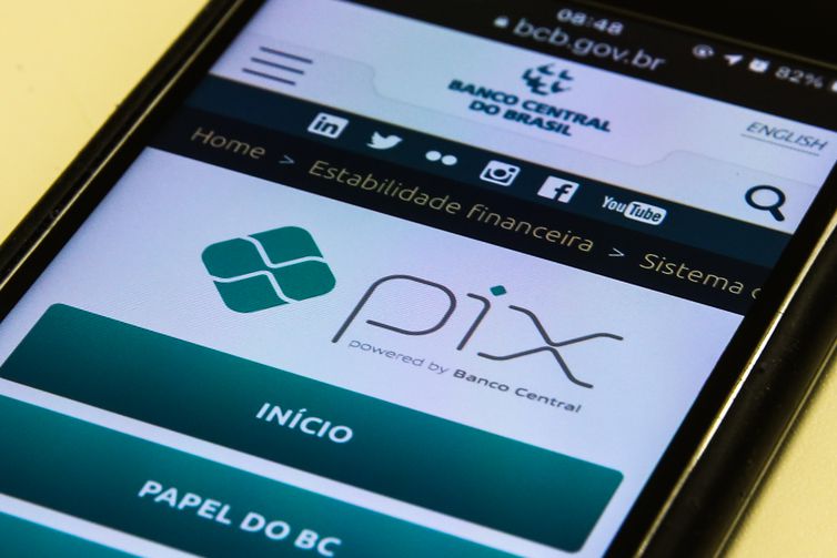 Clientes de 11 estados poderão pagar conta de energia via Pix © Marcello Casal JrAgência Brasil