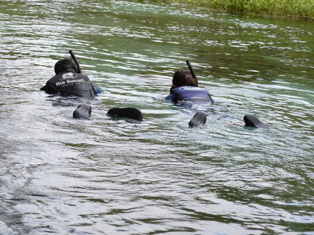 Abuso sexual em passeio de Bonito-MS Flutuação é feita em vários pontos do rio Sucuri, em Bonito (Foto: Anderson Viegas/G1 MS/Arquivo)