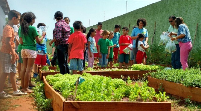Rede Solidária cria cooperativa para transformar horta comunitária em alternativa de renda Rede Solidária cria cooperativa para transformar horta comunitária em alternativa de renda