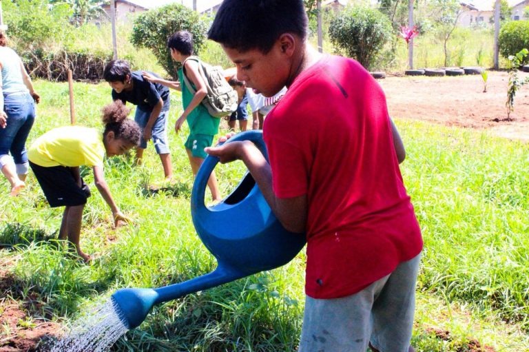 Rede Solidária cria cooperativa para transformar horta comunitária em alternativa de renda Há dois anos, horta comunitária ensina crianças e adolescentes práticas de alimentação saudável.