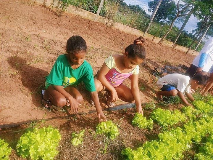 Rede Solidária cria cooperativa para transformar horta comunitária em alternativa de renda Produção é usada na alimentação de crianças inscritas nas atividades do Programa Rede Solidária.