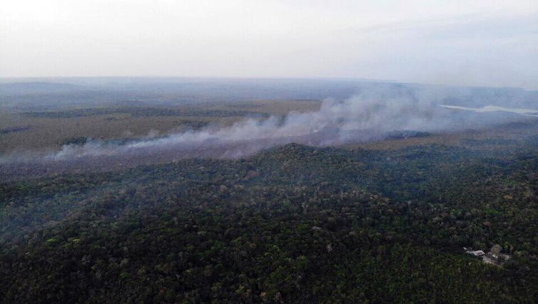 Justiça Federal arquiva inquérito sobre incêndios em Alter do Chão © Divulgação Brigada de Alter do Chão (PA)