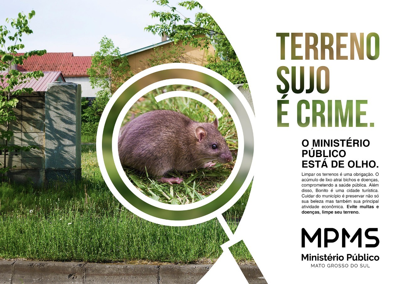 Terreno Sujo é Crime e Ministério Publico alerta população Terreno Sujo é Crime e Ministério Publico alerta população