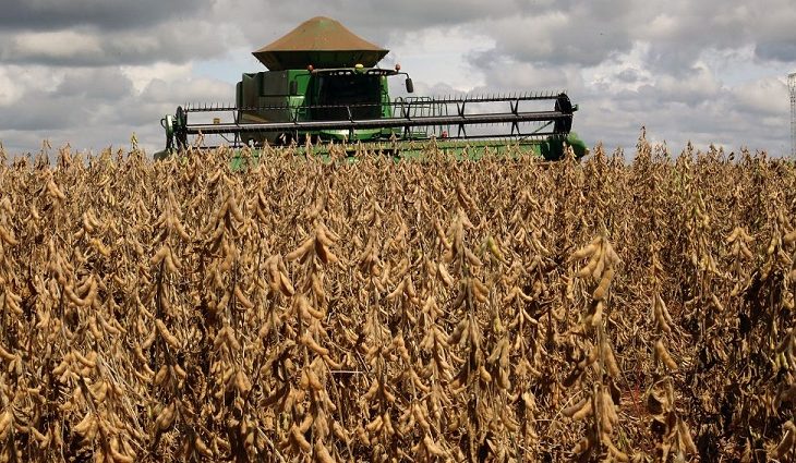 Com atraso, Mato Grosso do Sul começa a colher mais uma safra recorde de soja