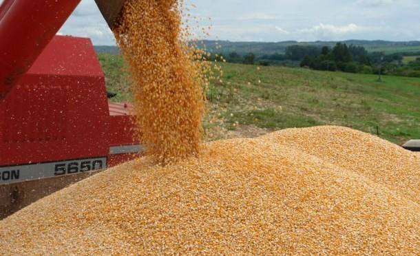 DESENVOLVIMENTO Rural Centro